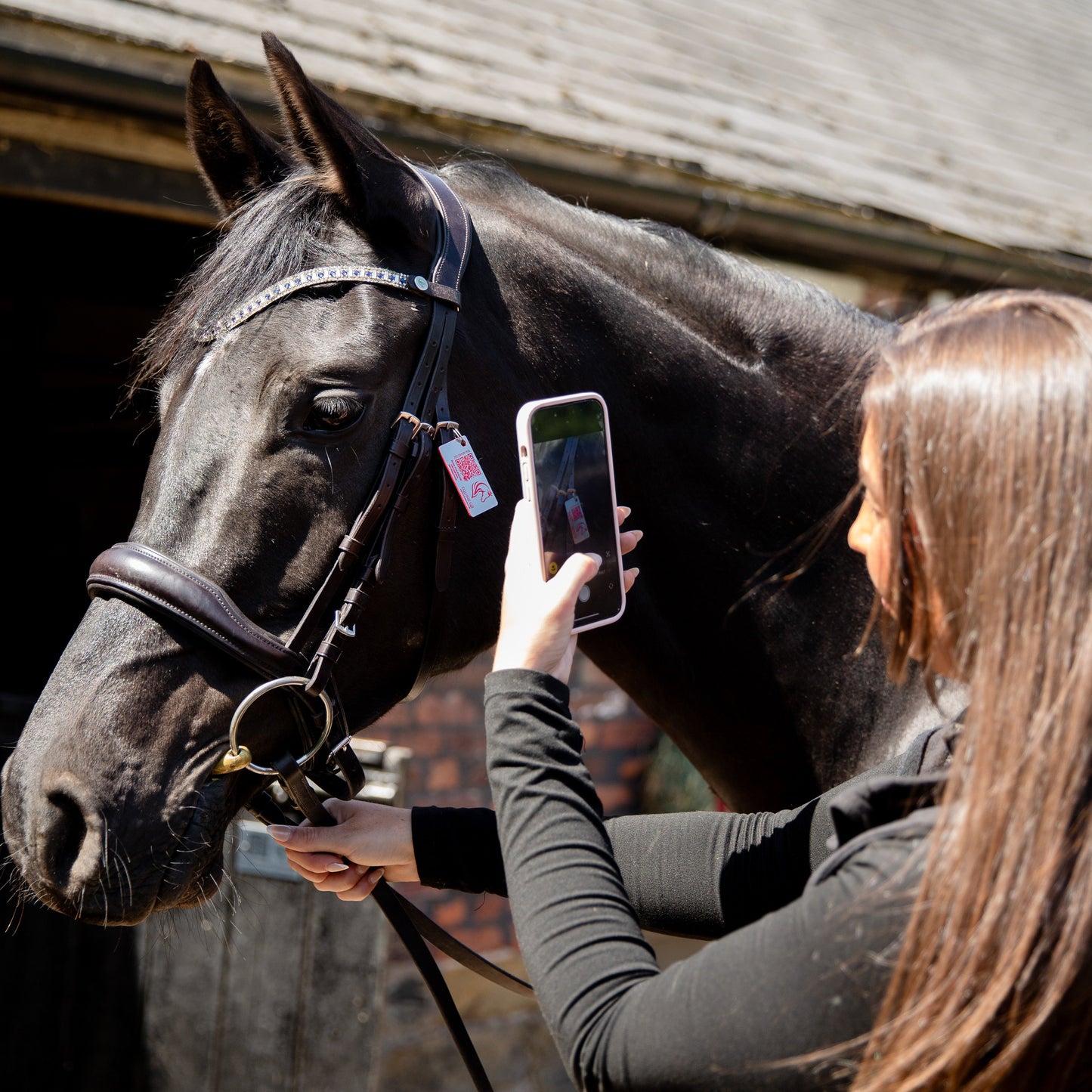 Equine Emergency Tag (Classic)