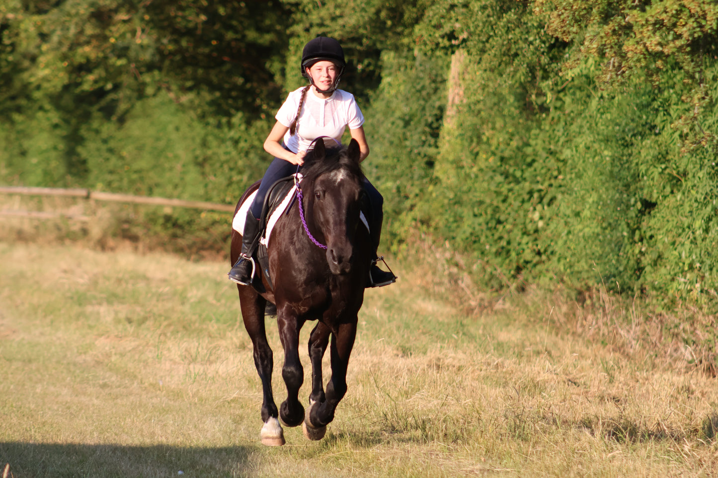 NEW Thea Equestrian Affinity Neckrope