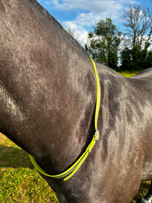 Biothane HIGH VIZ Neck Strap