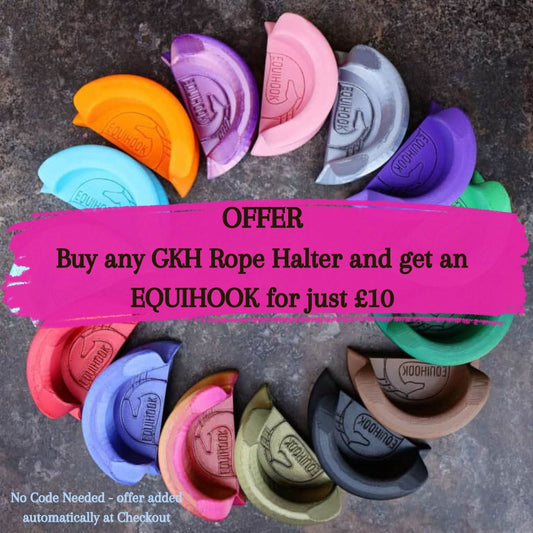 Equihook - Magnetic Bridle Hook