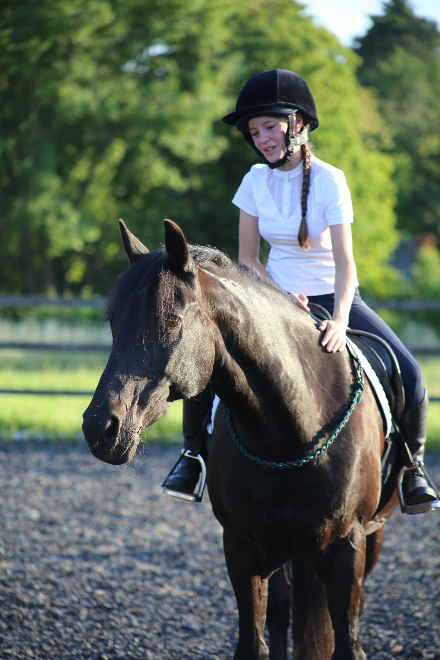 NEW Thea Equestrian Affinity Neckrope