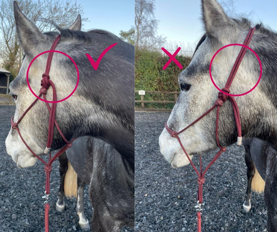GKH Mini Halter & Rope Range