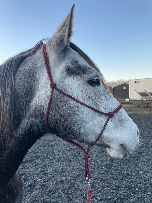 GKH Professional Soft Rope Halter