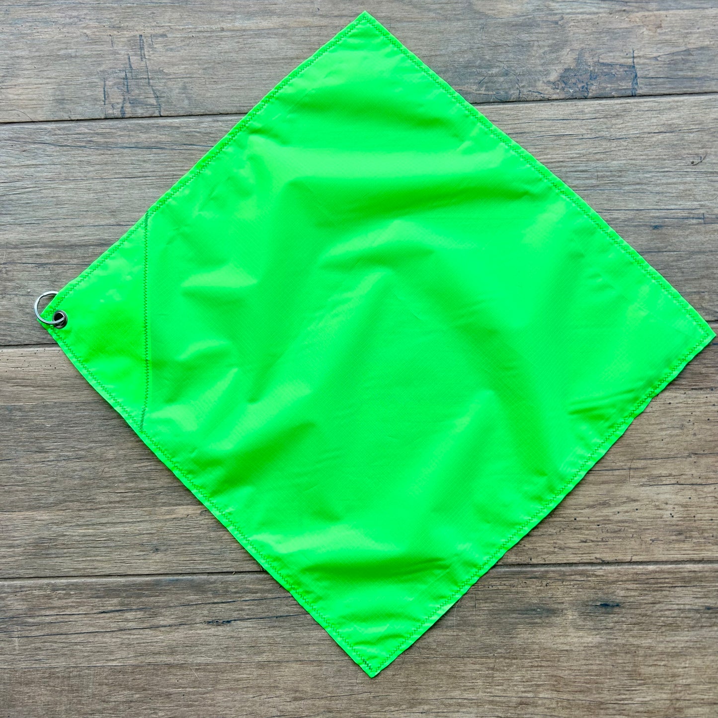 Telescopic Training Flag