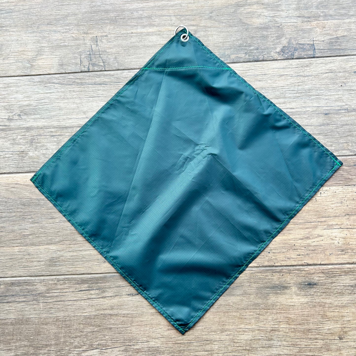 Telescopic Training Flag