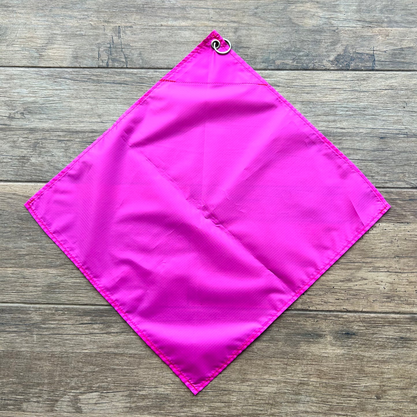 Telescopic Training Flag