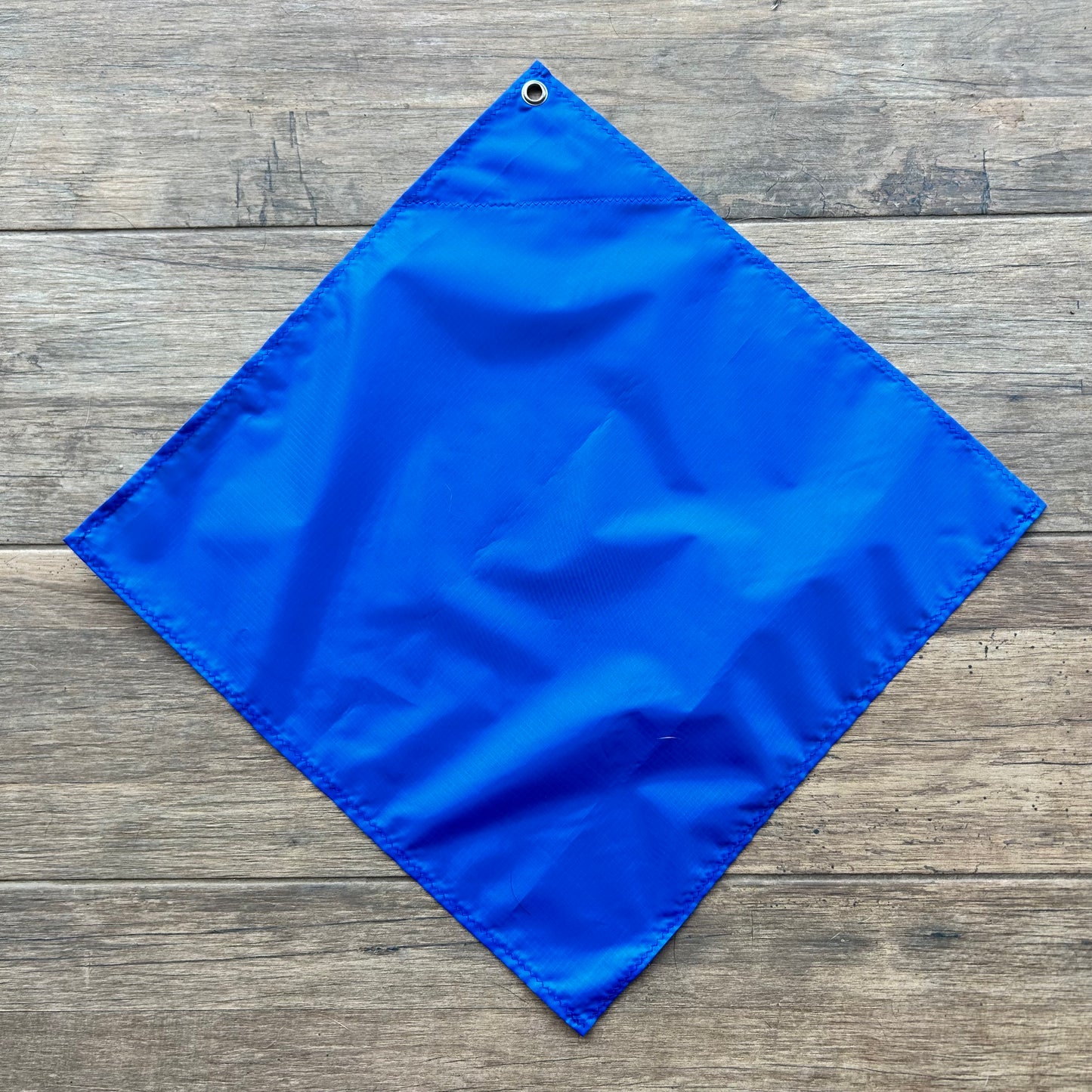 Telescopic Training Flag