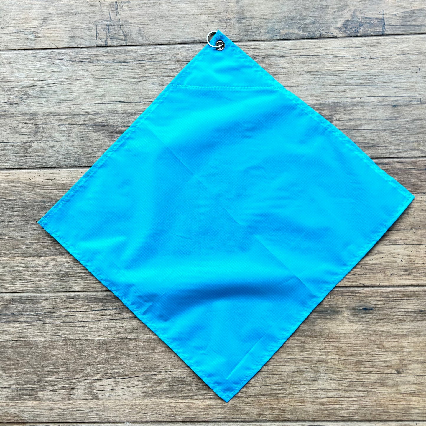 Telescopic Training Flag