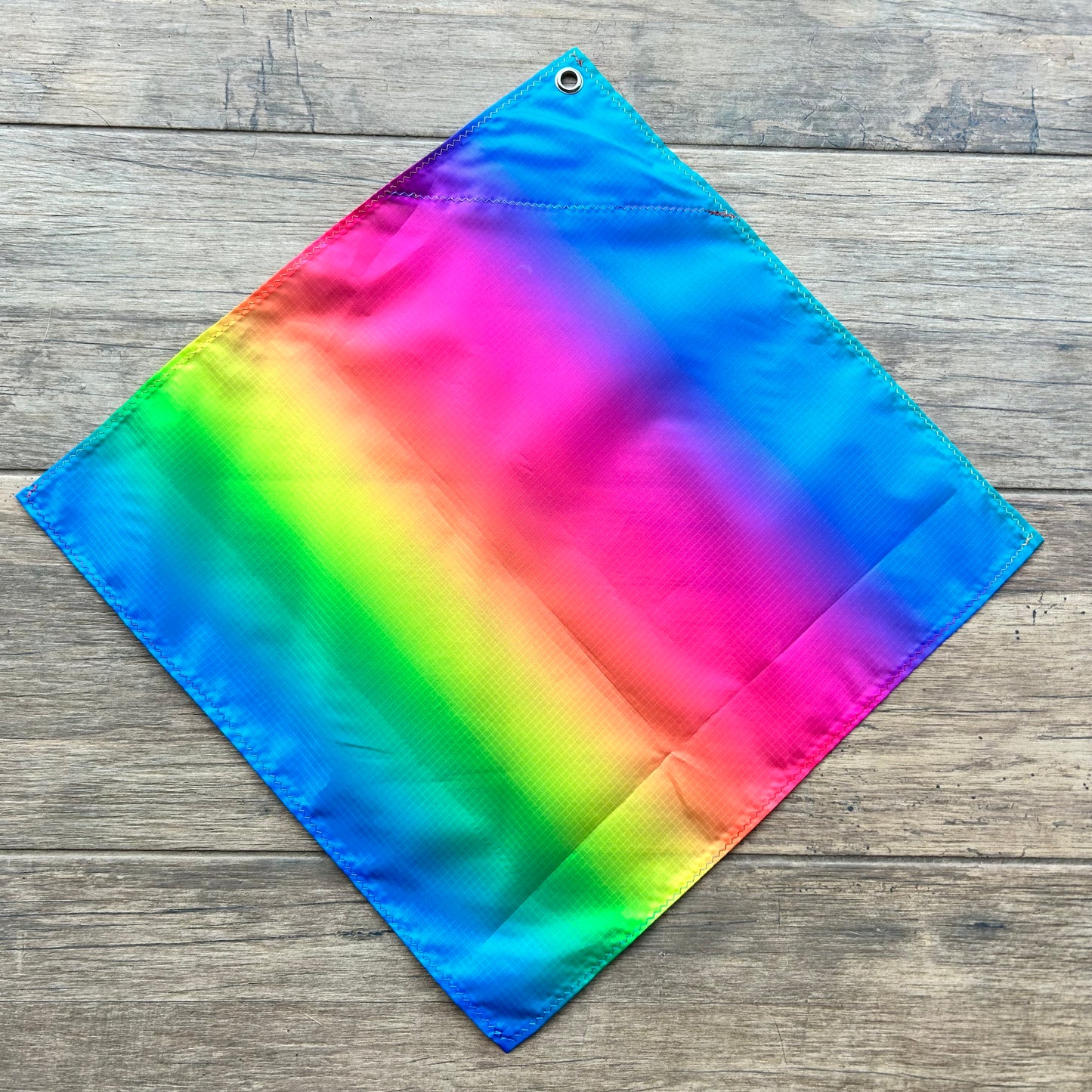 Telescopic Training Flag