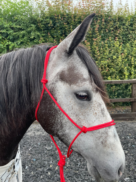 GKH Helix Sliding Ring Halter