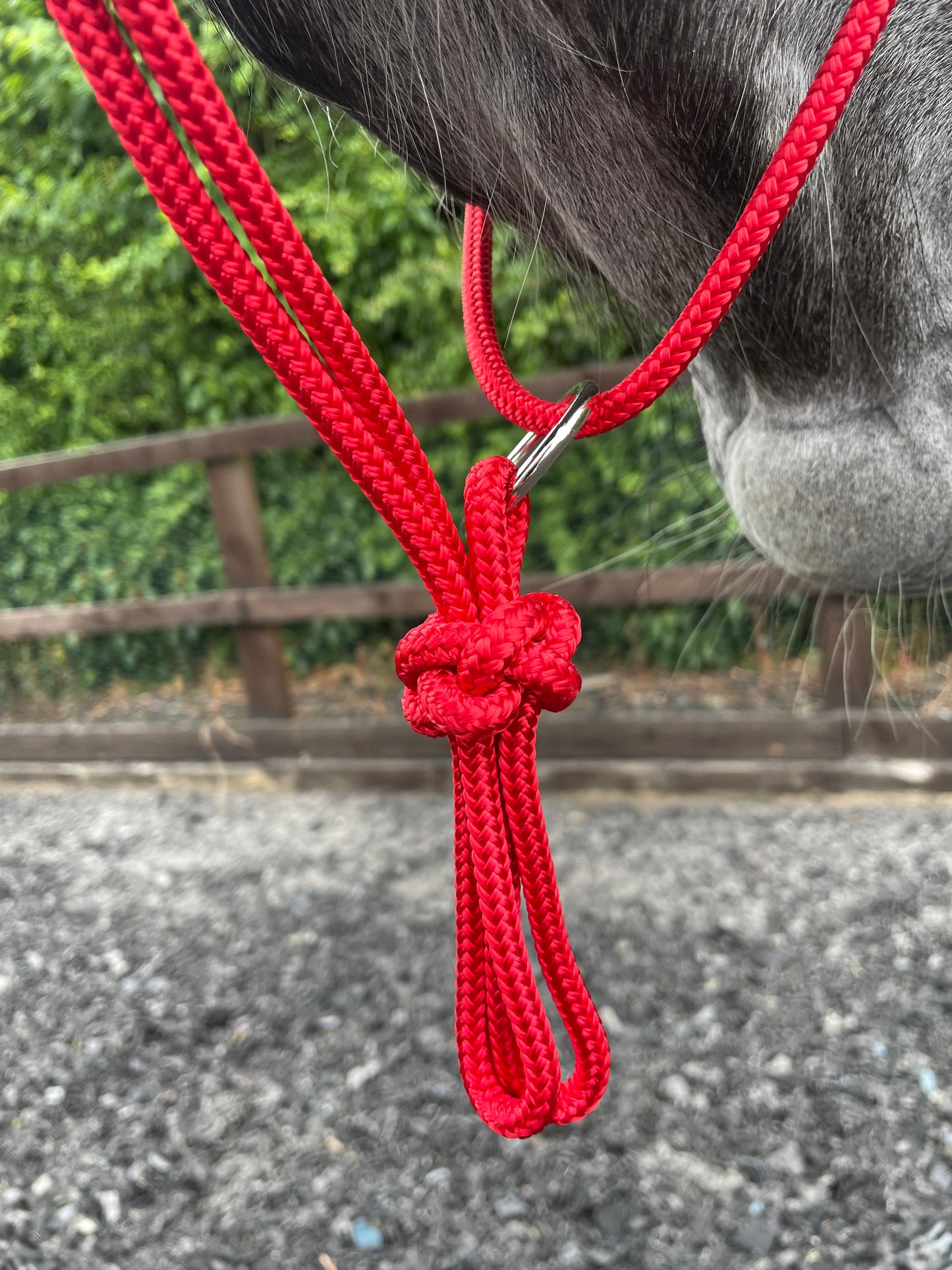 GKH Helix Halter