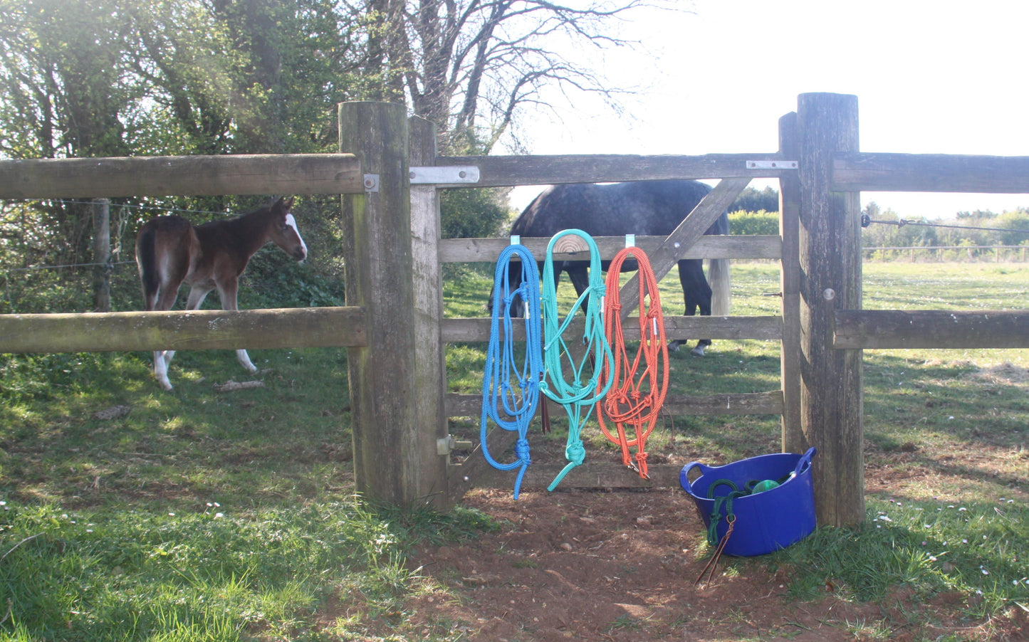 GKHorsemanship Gift Cards