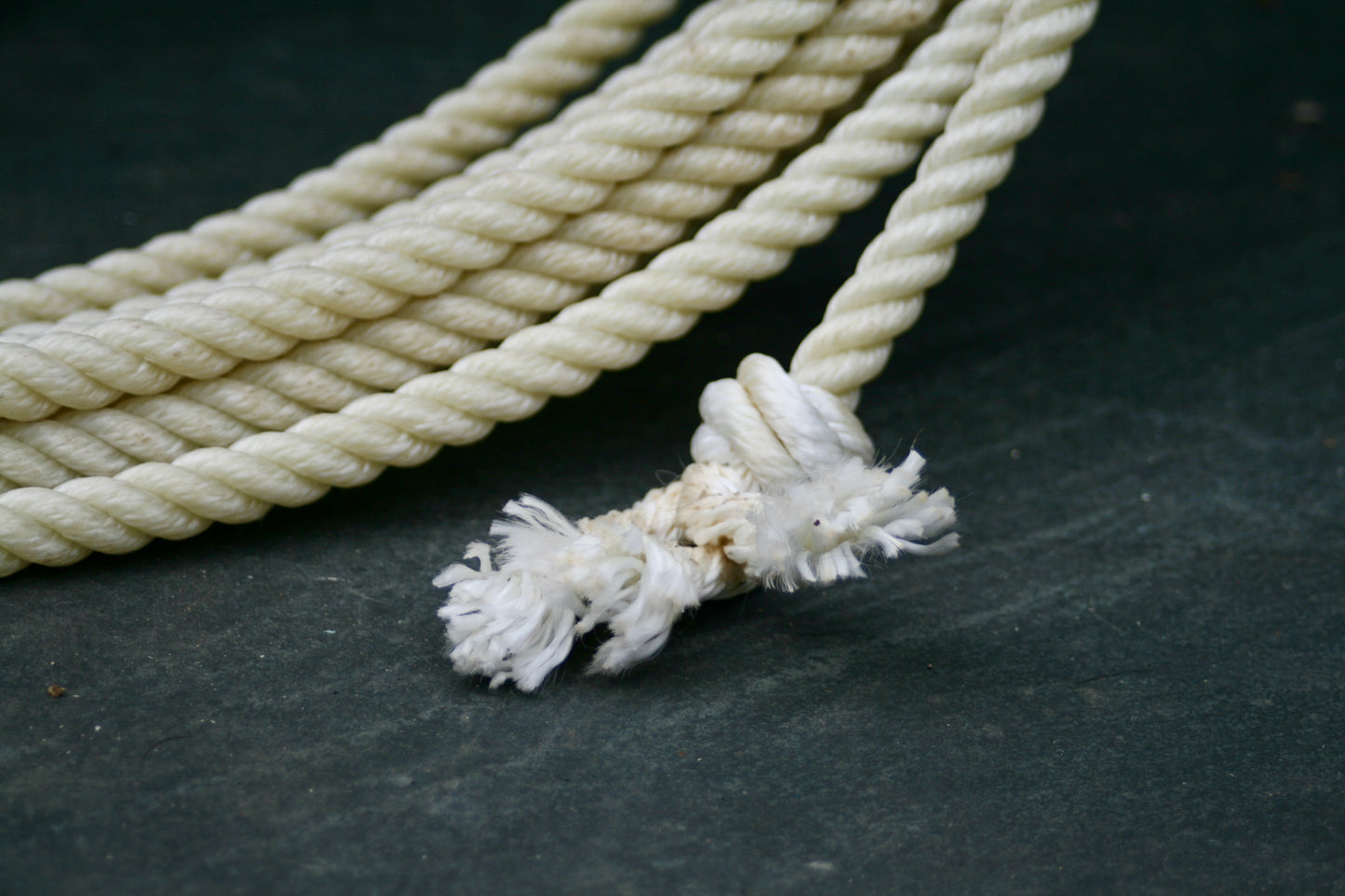 NEW: Kings Ropes 100% Nylon Lariat
