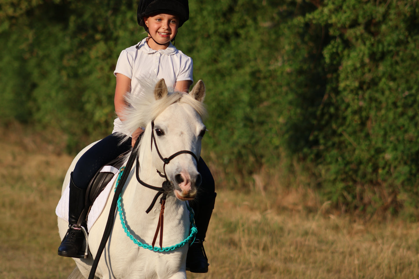NEW Thea Equestrian Affinity Neckrope