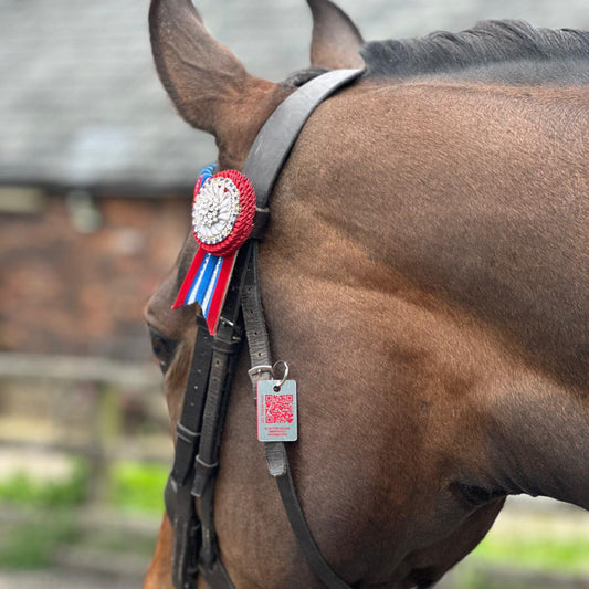 Equine Emergency Tag (Classic)