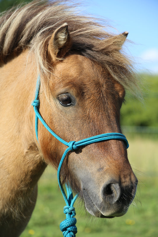 GKH Mini Halter & Rope Range