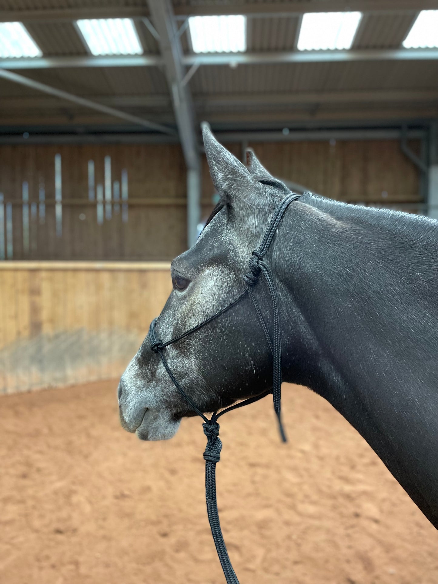GKH Professional Soft Rope Halter