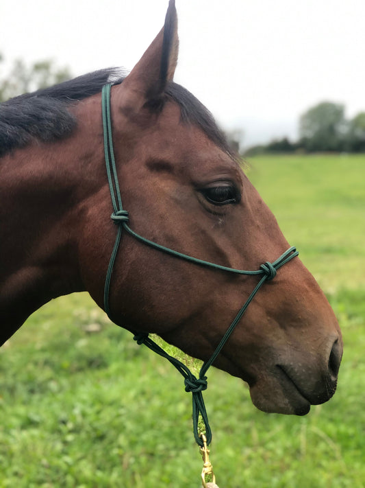 GKH Professional Stiff Rope Halter