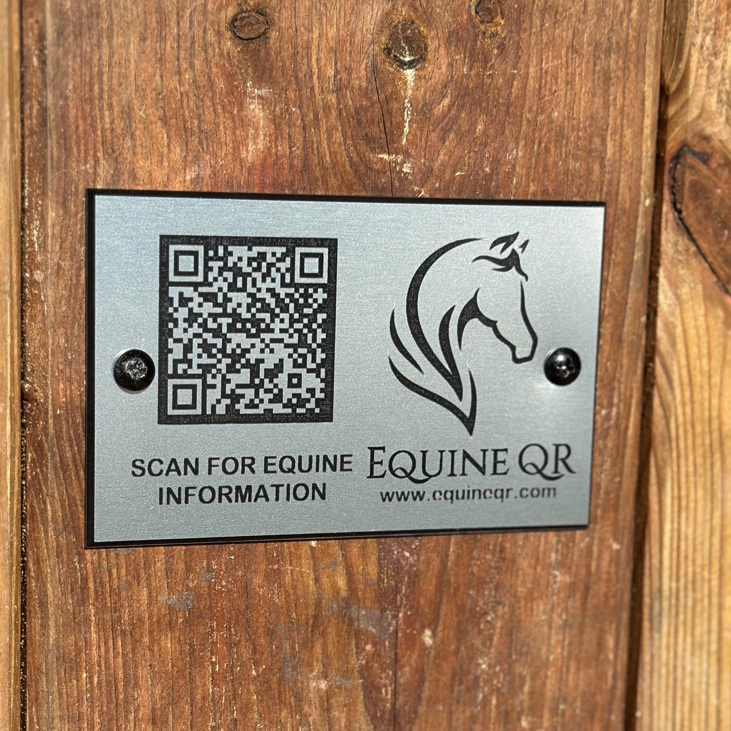 Equine QR Mount