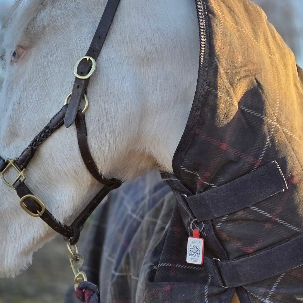 Equine Emergency Tag (EnduroTag)
