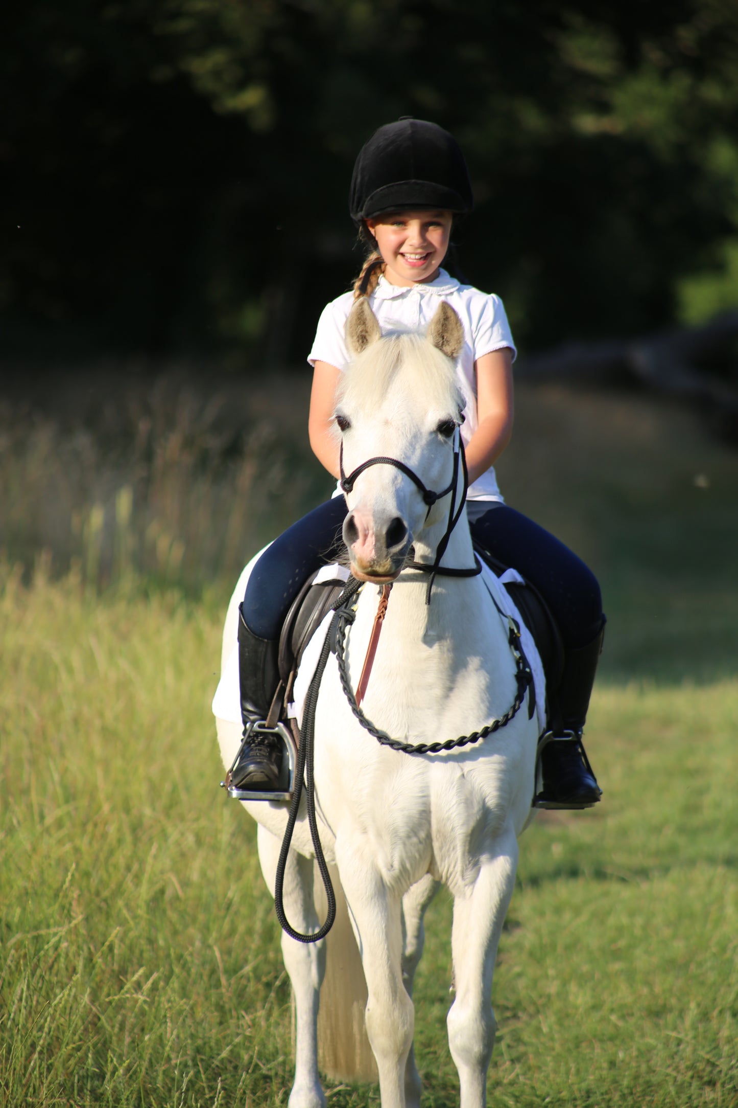 NEW Thea Equestrian Affinity Neckrope