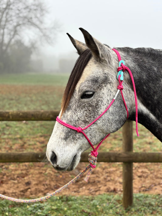 NEW GKH Halter-Quik