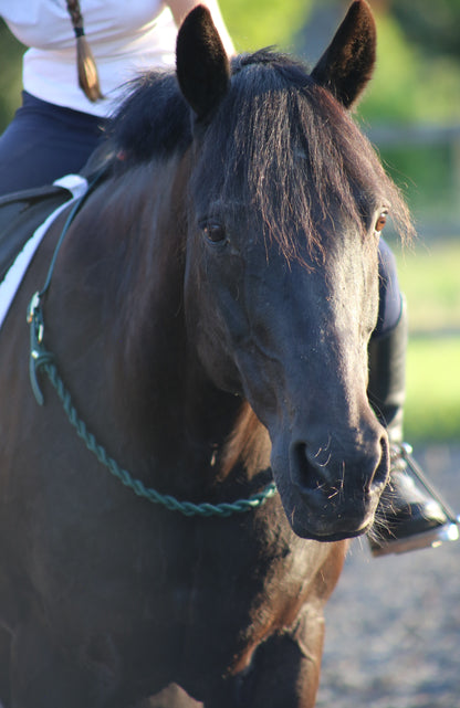 NEW Thea Equestrian Affinity Neckrope