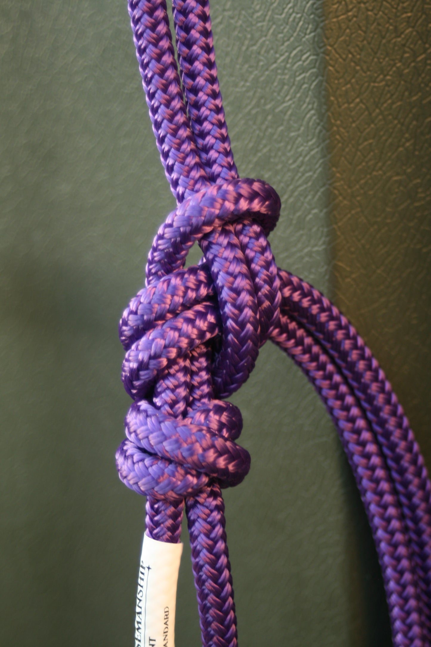 GKH Professional Stiff Rope Halter