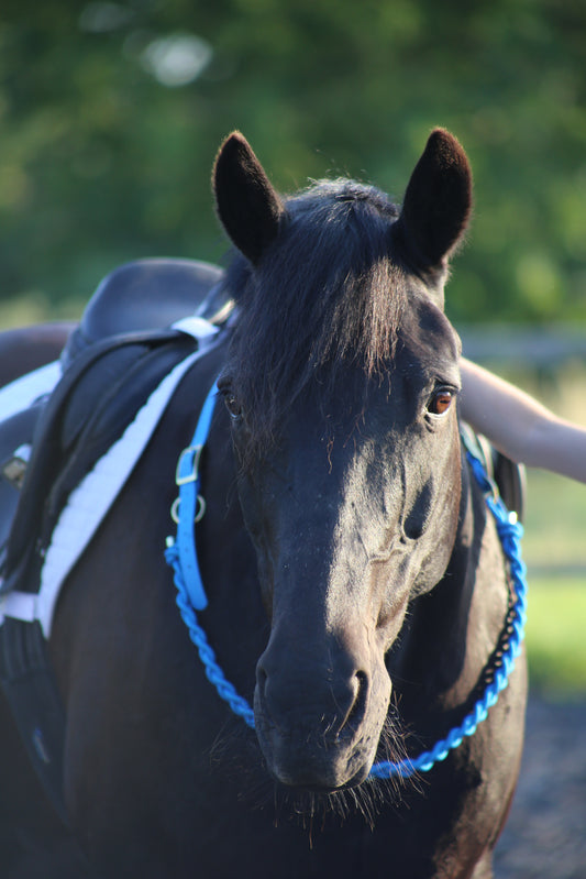 NEW Thea Equestrian Affinity Neckrope