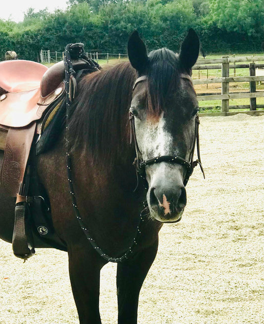 GKH Soft Rope Loping Hackamore